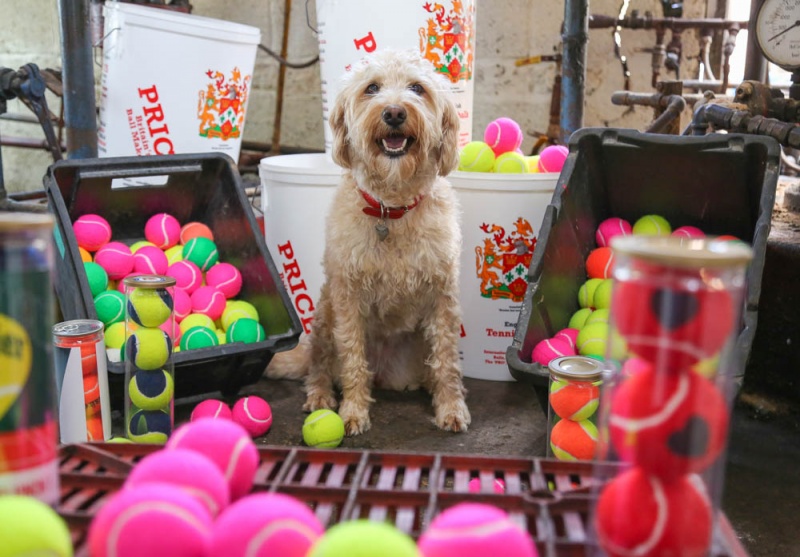 winner paisley 2018 - Paisley works at the last tennis ball factory in Europe